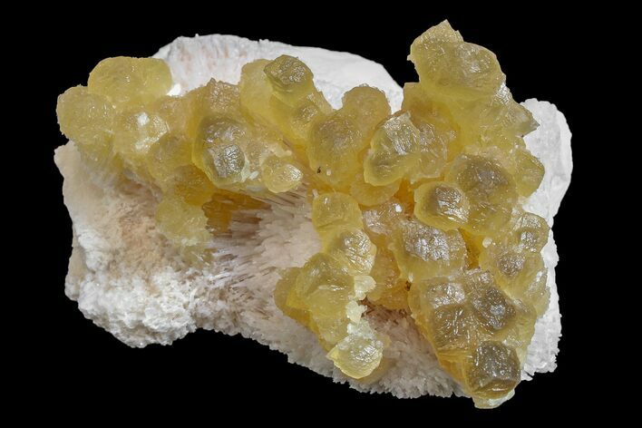 Yellow Calcite On Scolecite (Zeolite) Sprays - Maharashtra, India #168705